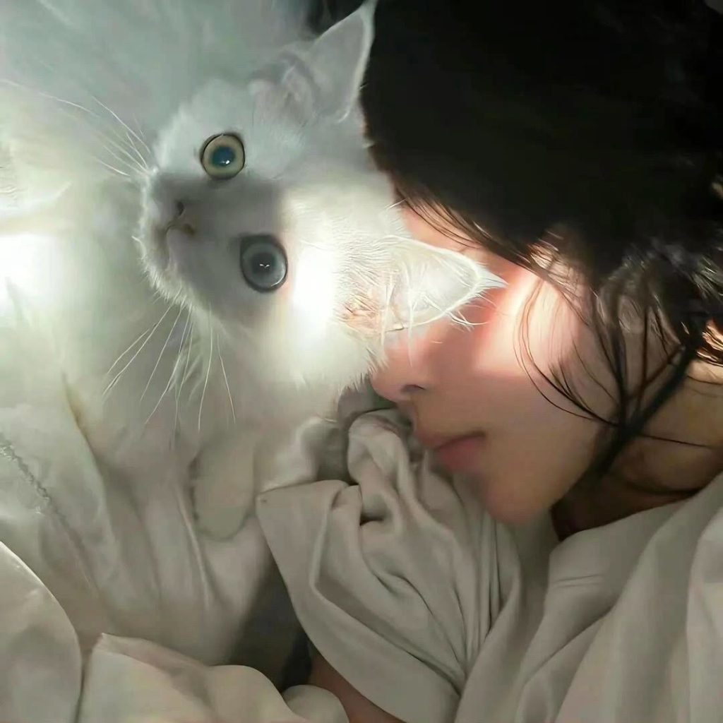 图片[2]-满眼遗憾的女头